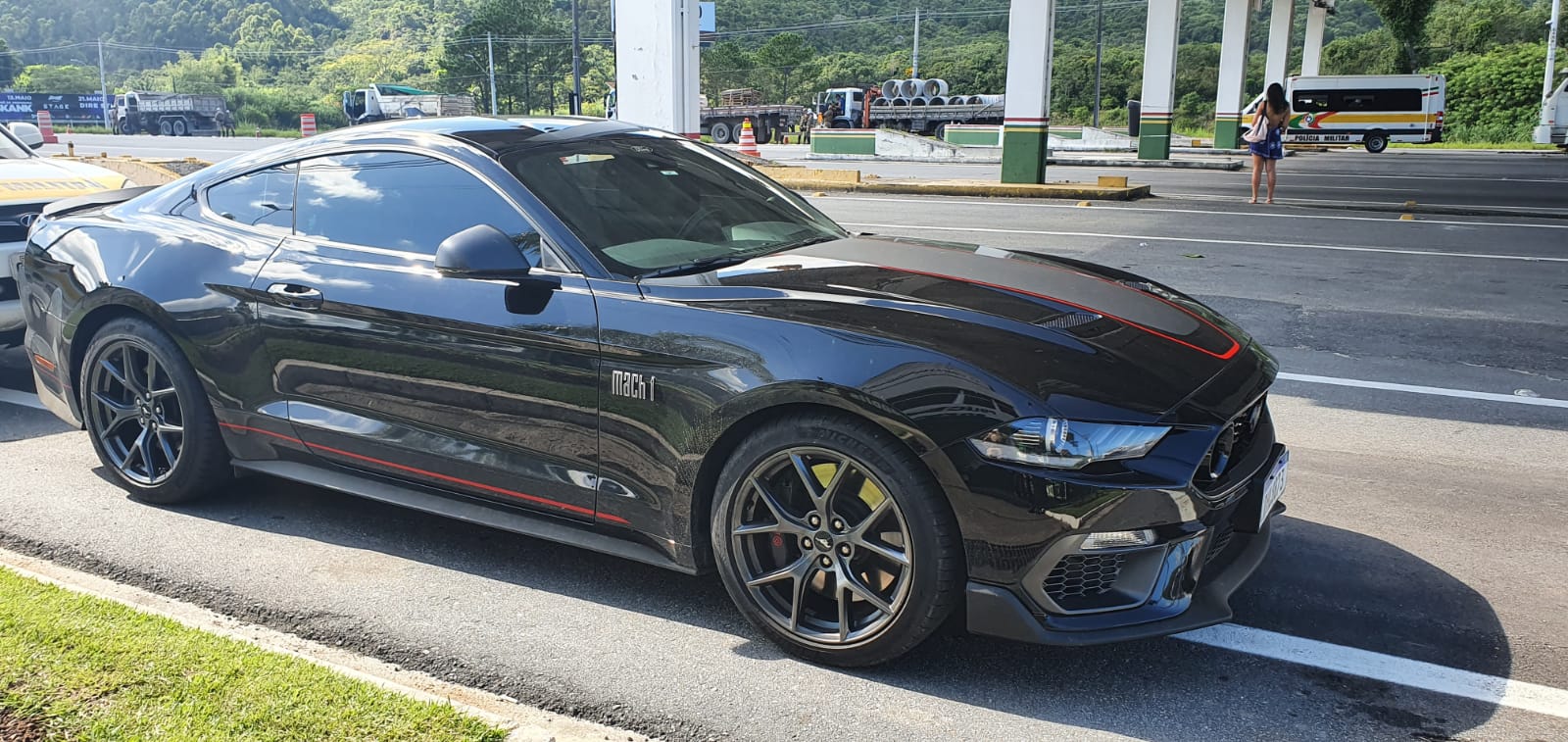 Motorista de Mustang é preso após ir ao motel com prostituta e filhos de 4  e 6 anos em Florianópolis - OCP News | As melhores notícias e histórias de  Santa Catarina