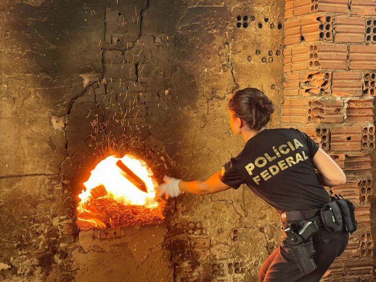 PF queima mais de seis toneladas de drogas no Paraná - OCP News | As  melhores notícias e histórias de Santa Catarina